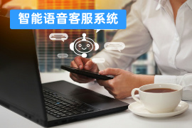 智能语音客服系统