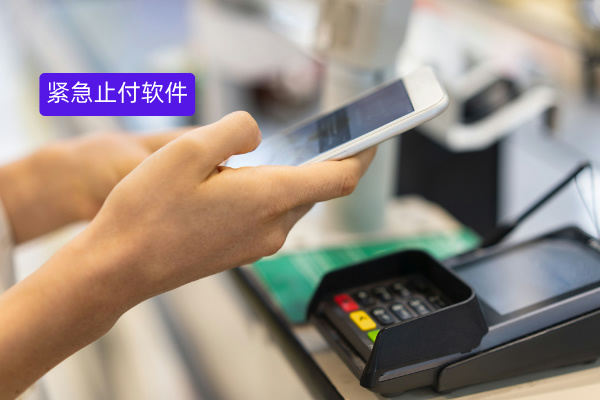 政务行业紧急止付软件案例：中关...
