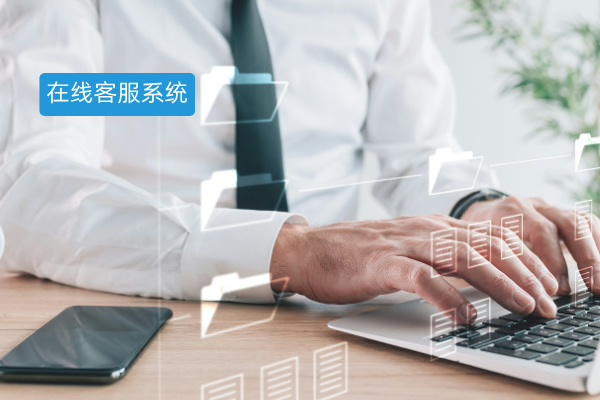 在线客服系统接入口