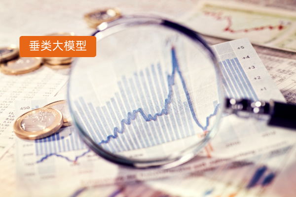 金融垂类大模型