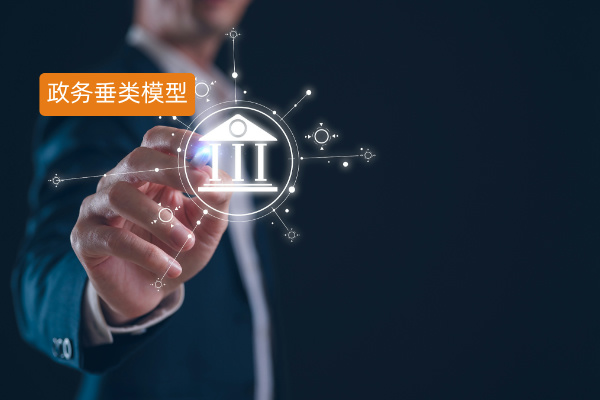 政务垂类大模型赋能，医保服务智...