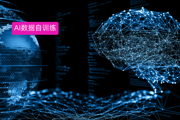 从"外采模型"到"内生智能"：...