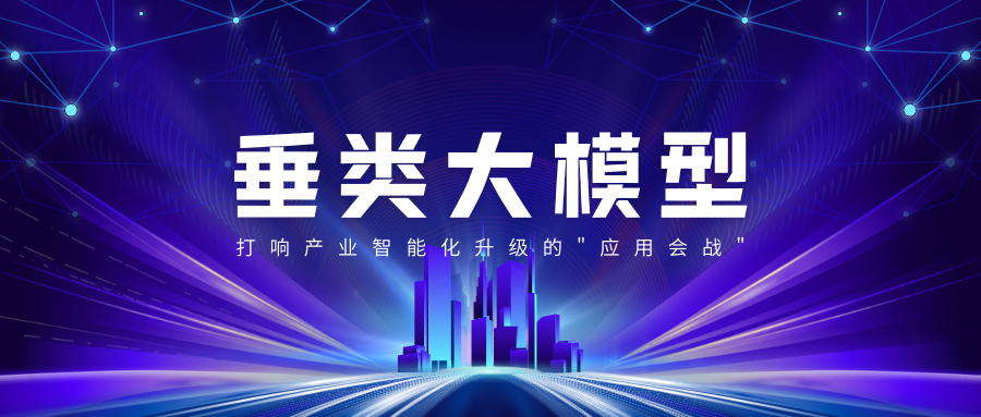 垂类大模型
