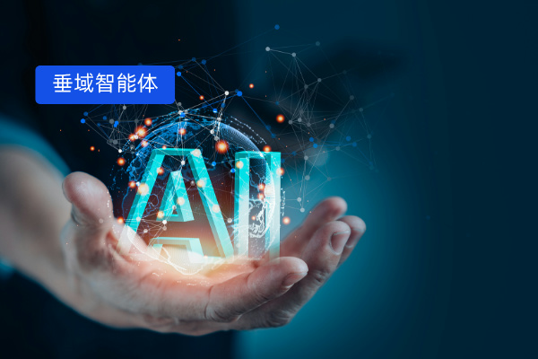 垂域智能体是干什么的？一文读懂...