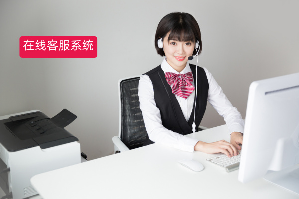 在线客服系统2025年十大品牌...