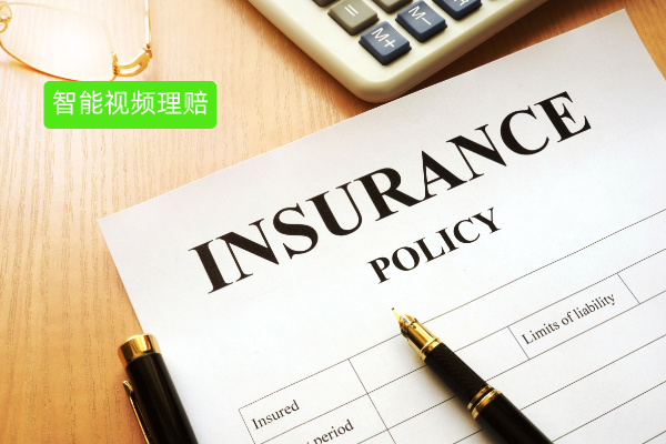 保险智能视频理赔系统：保险企业的降本增效利器​