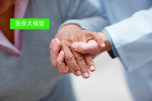 医保大模型