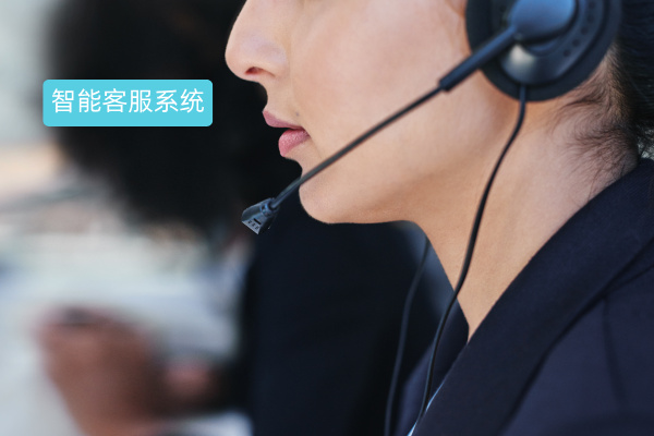 智能客服系统的功能有哪些呢？多渠道接入、24小时服务、多系统无缝集成等！ | 得助·智能交互